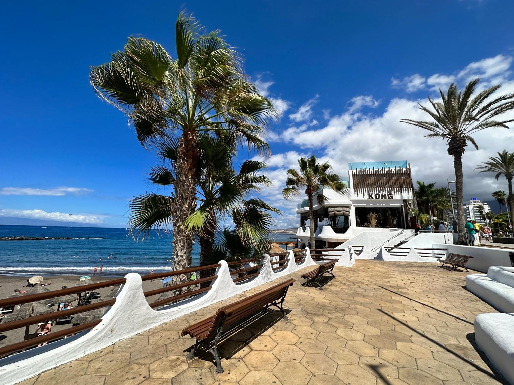 Appartement Torres De Yomely - Y1g Arona (Tenerife)